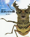探そう!ほっかいどうの虫