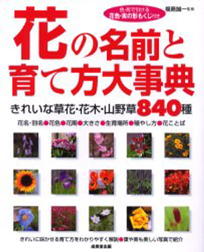 福島 誠一 監修本詳しい納期他、ご注文時はご利用案内・返品のページをご確認ください出版社名成美堂出版出版年月2006年04月サイズISBNコード9784415038780趣味 園芸 花の名前商品説明花の名前と育て方大事典ハナ ノ ナマエ ト ソダテカタ ダイジテン※ページ内の情報は告知なく変更になることがあります。あらかじめご了承ください登録日2013/04/09