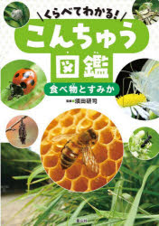 くらべてわかる！こんちゅう図鑑 〔4〕
