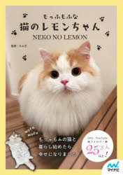 もっふもふな猫のレモンちゃん