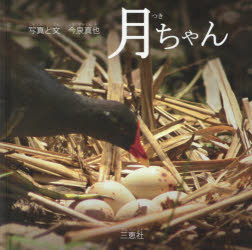 月ちゃん 沖縄・いのちの物語