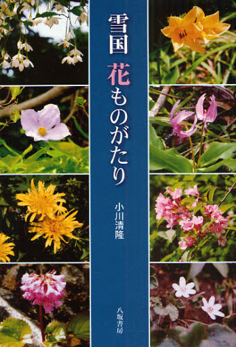 杂文 - 雪国花ものがたり