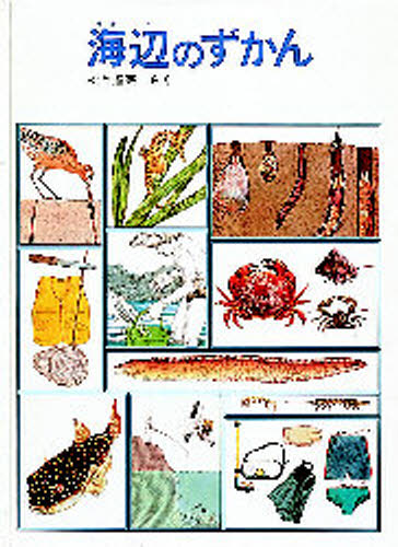 海辺のずかん