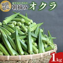 【送料無料】鹿児島県 生産量 日本一 朝摘み 新鮮オクラ 約1kg おくら 産地直送 野菜 鹿児島 指宿市 新鮮 大容量 アグリスタイル オクラ水 おくら オク...