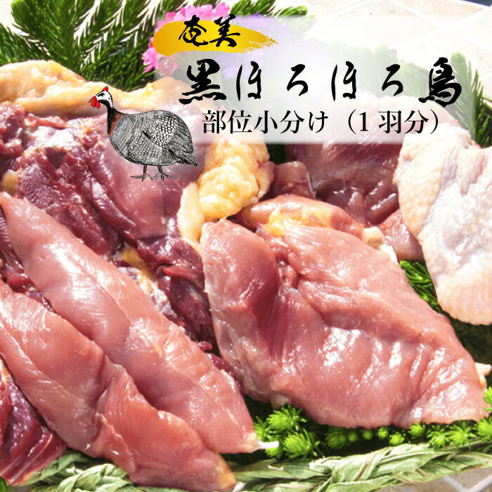 【送料無料】 奄美 黒 ほろほろ鳥 部位小分け 1羽分 880g もも肉 むね肉 ささみ肉 手羽先肉 手羽元肉 ほろほろ鳥 ホロホロ鳥 地鶏 鶏肉 鹿児島 おつまみ ご当地グルメ お取り寄せ 産地直送 ご当地 グルメ お中元 御中元 ギフト 肉 与論町 ヨロンアイランドファーム