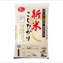 人気ランキング第28位「かごしまぐるり　楽天市場店」口コミ数「0件」評価「0」【送料無料】鹿児島コシヒカリ　5kg　精白米 鹿児島 コシヒカリ お取り寄せ 食品 贈答 ギフト 食べ物 プレゼント 九州糧販