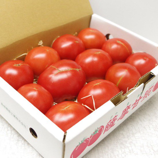 【送料無料】南国フルーツトマト　薩摩甘照（お徳用）　約1kg トマト フルーツトマト 鹿児島 産地直送 お取り寄せ ご当地 ご当地グルメ 食品 食材 グルメ 贈答 ギフト 食べ物 プレゼント TELLASのサムネイル
