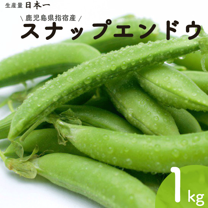 送料無料 鹿児島県 指宿産 スナップエンドウ 1kg 朝摘み 新鮮 産地直送 鹿児島県 指宿 生産量 日本一 スナップえんどう アグリスタイル えんどう エンドウ豆 えんどう豆 採れたて とれたて 旬 鹿児島県産 ご当地 グルメ お取り寄せ ギフト スナックエンドウ 食材 野菜のサムネイル