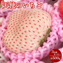 予約販売 送料無料 高級 大粒 いちご 3種 食べ比べ セット (約400g-600g) 苺 イチゴ 白いちご 産地直送 鹿児島 旬 お取り寄せ ギフト エンジ...