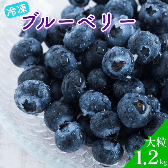 送料無料 栽培期間中 農薬・化学肥料不使用 冷凍ブルーベリー 1.2kg ブルーベリー 冷凍 観光農園ワダ 産地直送 お取り寄せ グルメ ご当地 ご当地グルメ 食品 食材 食べ物 グルメ 果物 フルーツ 冷凍フルーツ