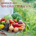 楽天かごしまぐるり　楽天市場店【送料無料】 気まぐれ野菜ガチャ！ 旬のとれたて 野菜セット 10品目 栽培期間中 農薬 化学肥料不使用 おまかせ 珍しい 産地直送 鹿児島県 鹿児島県産 野菜 セット 詰め合わせ 野菜セット 旬 食材 新鮮 採れたて お取り寄せ 食品 国産 九州産 グルメ ギフト 知覧野菜の会