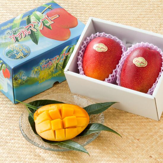 予約販売【送料無料】サタデー完熟アップルマンゴー 約800g 国産 九州産 マンゴー 完熟 2玉入 果物 フルーツ 鹿児島 産地直送 食品 贈..