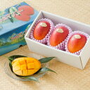 予約販売【送料無料】サタデー完熟アップルマンゴー 約1kg 国産 九州産 マンゴー 完熟 2~3玉入 鹿児島 産地直送 食品 贈り物 ご当地 御中元 お中元 グルメ お取り寄せ ギフト プレゼント 贈答 誕生日 お返し 母の日 父の日 お取り寄せグルメ 九州 第一佐多果樹園