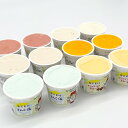 【送料無料】奄美産素材使用ジェラート 12個入り 奄美大島 ジェラテリアアンティカ ジェラート アイス デザート たんかん 黒糖 すもも さんご塩 パッション ...