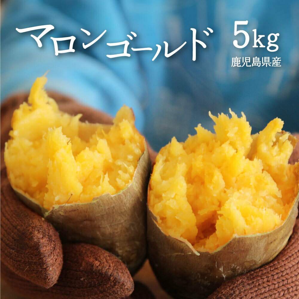 【送料無料】鹿児島県 希少 マロンゴールド 5kg プレミア芋 ねっとり系 栗のような甘さ 指宿産 芋 さつまいも サツマイモ 焼き芋 スイーツ 産地直送 野菜 鹿児島 指宿市 新鮮 大容量 甘い 贈答品 贈答 焼きいも 芋 お芋 イモ いも サツマ芋 さつま芋 アグリスタイルのサムネイル