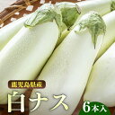 ※予約販売【送料無料】とろーり旨ナス 白ナス 6本入り なす 白なす 鹿児島 産地直送ご当地 グルメ お取り寄せ 特産品 野菜 ナス 茄子 なす なすび mat...