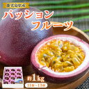 予約販売 お中元 送料無料 指宿産 南国 パッションフルーツ 約1kg (11~13玉入り) パッション フルーツ マンゴーの森 贈答 大容量 家族用 鹿児島 ご当地グルメ 特産品 産地直送 お取り寄せ グルメ 甘い 果物 フルーツ 御中元