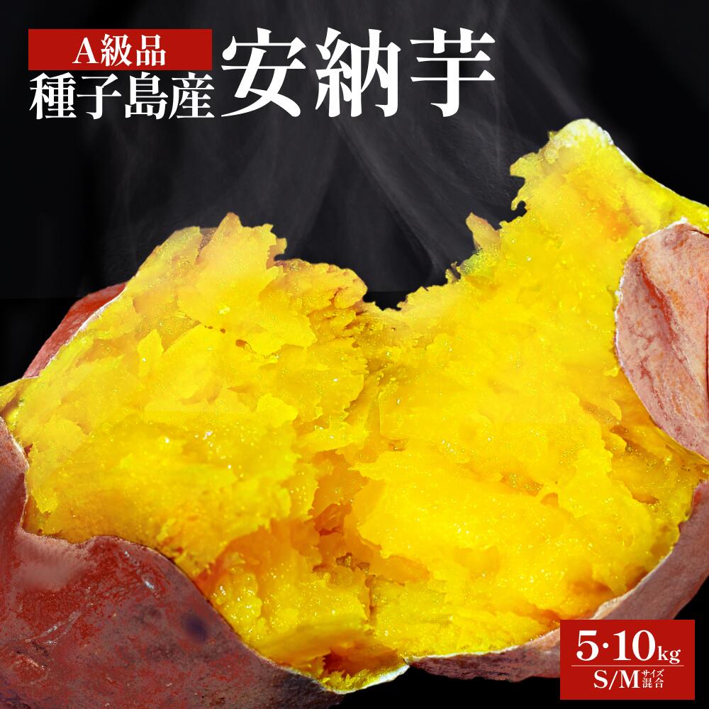 送料無料 種子島産 安納芋 A品 蜜芋 スイーツ 熟成 贈答用 さつまいも さつま芋 サツマイモ 焼き芋 焼芋 芋 お芋 イモ いも 贈答 大容量 家族用 鹿児島 ご当地グルメ お取り寄せ 特産品 産地直送 甘い ギフト プレゼント 贈り物のサムネイル