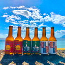 送料無料 鹿屋産クラフトビール おまかせセット LET IT BEER 飲料 お酒 ビール 果物 プレゼント 贈り物