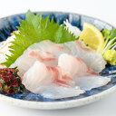 【送料無料】百年漁師の真鯛 獅子島産マダイ刺身用サク(約600g) 魚 海鮮 鹿児島 おつまみ ご飯のお供 ごはんのお供 ご飯のおとも 産地直送 お取り寄せ グルメ ご当地 ご当地グルメ 食品 食材 食べ物 グルメ ギフト プレゼント 敬老の日 敬老