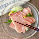 【送料無料】 百年漁師の鰤 獅子島産ブリ刺身用サク(背)約150g(4パック・8パック)鰤 ぶり 魚 海鮮 鹿児島 おつまみ ご飯のお供 ごはんのお供 ご飯のお...
