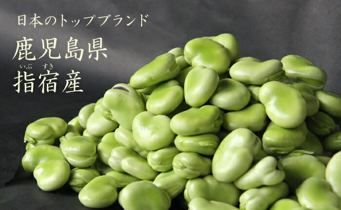 鹿児島県指宿産『朝摘みとれたてそら豆 たっぷり2kg』