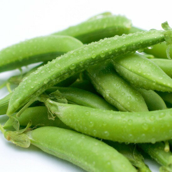 スナップエンドウの栽培方法 種まきや収穫の時期など育て方の10つのコツをご紹介 暮らし の