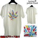ルシアンペラフィネ lucien pellat-finet メンズ トップス Tシャツ 半袖 ロゴ レインボーカラーヘンプロゴプリント付Tシャツ ホワイト EV...