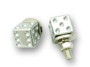 AA113CT ダイス ライセンスボルトセット クローム(2)