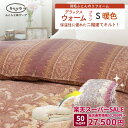 【最大50%OFF SALE】 楽天専売 日本製 国産 富士新幸 羽毛布団 二層 多層 リフォーム ふっくら デラックス ウォームプラン 天然 柔らか 綿100% シングル ダブル 工場直販 羽毛 洗浄 宅配 打ち直し 布団 クリーニング 他社製品可 足し羽毛 マザーダック ダウン 93% ポイ活