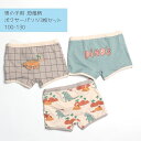 男の子用 恐竜 パンツ 3枚セット ボクサーパンツ 韓国子供服 S M L XL 100 110 120 130 水色 グレー アイボリー チェック 保育園 幼稚園 小学生 子供 おしゃれ かわいい 秋物 男の子 海外子供服 ゆるかわ アースカラー 子供用下着 POP 即納 メール便可 その1