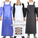エプロン 袖カバー 2点セット 前掛け 胸当て 業務用 防水 撥水 耐久性 首掛け ロング 食品加工 給食 精肉 鮮魚 水産加工 酪農 飲食店 板前 送料無料