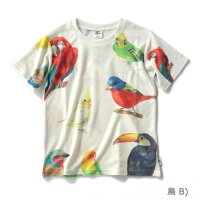 gymmaster(ジムマスター)G933339梨地ハッピーペイントTee(全面プリント)