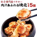 焼売 シュウマイ 15個 冷凍 大粒 肉