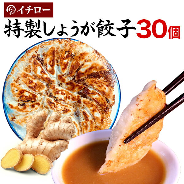 特製しょうが餃子30個(味噌だれ付)冷凍餃子 業務用 ぎょうざ お取り寄せ ギフト おとりよせ コロナ 応援 在庫処分 支援 訳あり わけあり 食品 食品ロス ...