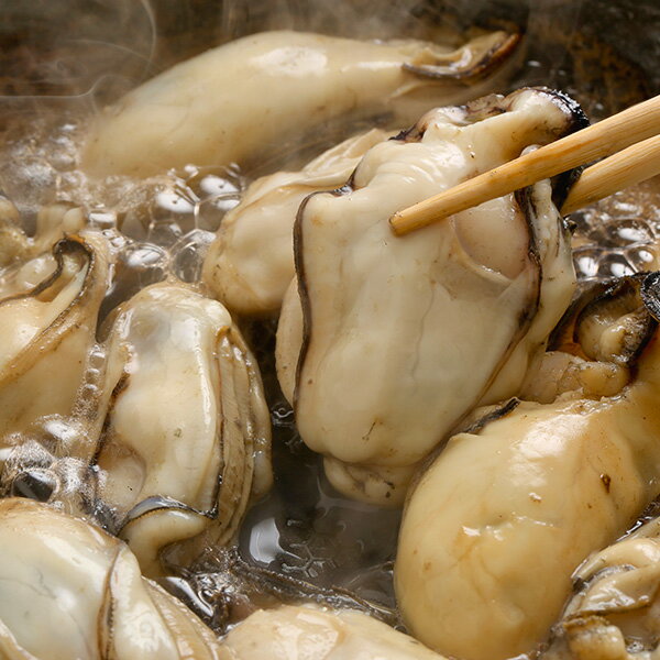 むき牡蠣(大サイズ)1kg 冷凍便 [ 貝 カキ かき ]