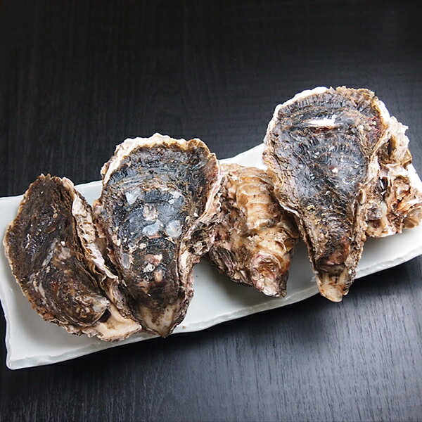 生食用岩牡蠣5個 冷蔵便　[岩牡蠣,かき,カキ,牡蠣,通販...