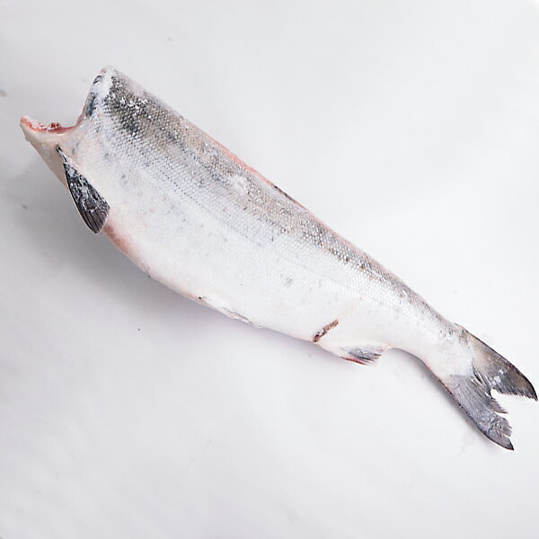 【内容(量)】紅鮭ドレス約2kg 【原材料(産地)】紅鮭（カナダ、アラスカ） 【賞味期限】冷凍保存で60日アラスカ・ロシアで水揚げされる天然紅鮭です。紅鮭は鮭の中で最も香りがある美味しい鮭です。お好きなサイズの切り身にしてください。 商品形態 市場ならでは簡易袋包装です。
