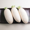 【送料一律200円】国産乾燥野菜ミックス 切干大根・人参・大根葉　27g×5袋セット（吉良食品）