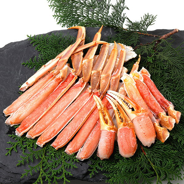ボイルズワイガニハーフポーション800g 冷凍便　[ズワイガニ,ずわいがに]