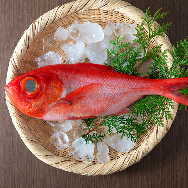 【内容(量)】金目鯛1尾（1.5-1.8kgサイズ） 【原材料(産地)】金目鯛（静岡、東京他） 【賞味期限】冷蔵保存で2日 【注意点】（注1）魚の下処理をご希望の場合は、ご注文時に「その他お問い合せ」欄に下処理方法をご記入ください。 「3枚おろし」、もしくは「エラ、内臓、うろこ取り」 （注2）時化などで入荷がない時があります。出荷できないときはご連絡します。天然の国産 金目鯛です。豊洲に入荷する最大サイズの金目鯛です。金目鯛はサイズが大きくなるほど身の厚みが増し、味わいも良くなります。この1.5-1.8kgサイズは豊洲市場でもかなり立派な部類で、料理すると存在感のある一尾です。 定番は煮付けですが、大きい金目鯛は刺身でも美味しく、皮目を軽く炙ると脂の旨味が引き立ちます。頭や骨からも良い出汁が出るので、あら汁にしても楽しめます。丸ごと一尾ならではの美味しさを味わっていただきたい金目鯛です。家庭でも特別感のある魚料理になります。 新鮮な金目鯛のお刺身 豊洲市場から新鮮な状態でお届けしますので、ご自宅でお刺身も可能です。3枚におろしてお届けすることもできますので、あとは刺し身に切るだけです。最近ではお寿司屋さんで上物なネタで人気です。ねっとりとした身はとろっと脂が甘く、味わい深い魚です。 人気の金目鯛しゃぶしゃぶ 全国的に有名になった金目鯛ですが、しゃぶしゃぶによってさらに人気がでました。金目鯛の頭とアラで出汁をとった鍋に、クリーム色の身をしゃぶしゃぶしてください。冷凍ではない生の新鮮な金目鯛をしゃぶしゃぶにすると、ふわっとした身にとろけるような脂の味わいがあります。 金目鯛のサイズ 1尾1.5-1.8Kgサイズです。お刺身ですと6-8人前、煮付けやお鍋ですと4-5人前くらいになります。 鮮魚の下処理（無料） （注1）魚の下処理をご希望の場合は、ご注文時に「その他お問い合せ」欄に下処理方法をご記入ください。 「3枚おろし」、もしくは「エラ、内臓、うろこ取り」 鮮魚（活魚）の競り場 1.豊洲市場には活きたままの魚も多数入荷されます。海水温度と塩水濃度を調節した水槽で管理します。水槽では、入荷→競り→出庫→入庫を絶えず繰り返しています。 2.水槽の中は細かく区切られていて、それぞれの活けの鮮魚が個別に管理されています。黄色い札は荷受(大卸)の競り番号で、この番号順に競りにかけられます。写真手前はアイナメで、1.9Kgとか2.3Kgの魚体ということです。この情報を元に競り前に下付け(事前の値付け)をします。 3.昔の活物の競り場。2つの競り台に2社の荷受が立ち、同時に競りが行われます。活けの鮮魚の場合、1匹ずつ値決めするので時間がかかります。また競りの中でも最も参加者が多いのが特徴です。 4.活物以外の鮮魚はアーチ状の場所に荷積みされます。通常の鮮魚は、ほぼ荷受との相対取引となります。(直接値段のやりとりをして売買する)アーチ状になっているのは、その昔築地市場に鉄道が入線していた時の名残です。 5.鮮魚は長期保存ができないため、荷受の担当者は入荷した鮮魚を売り切るのに苦労します。荷受と懇意の仲卸や売買参加者に無理強いして、魚を売ることを「おっつけ」といいます。追っつける方も追っつけられる方も商売ですから、お互いの貸し借り(恩)のやりとりで魚を売り切っています。 6.写真の箱に入っている魚はメバルです。発泡スチロールに書かれていることは、釣りで水揚げされた(釣りの場合、1匹ずつ釣り上げているので丁寧な扱い=高値)メバルが、3Kg箱の中に10本、11本、12本入っていますという符号です。魚の質とともにこの符号を見て、価格のやり取りをします。