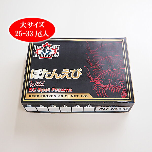 ボタンエビ（大サイズ 25-33尾）1kg 冷凍便　[ボタンエビ]