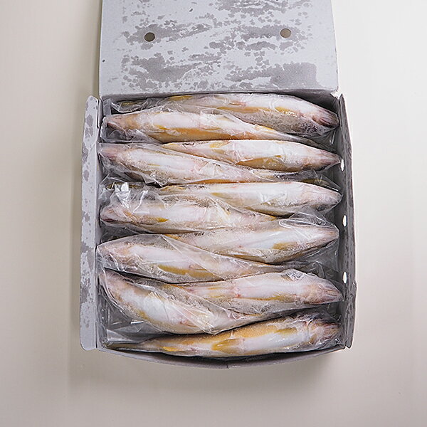 鮎1kg 冷凍便　[鮎,ハーブ鮎]