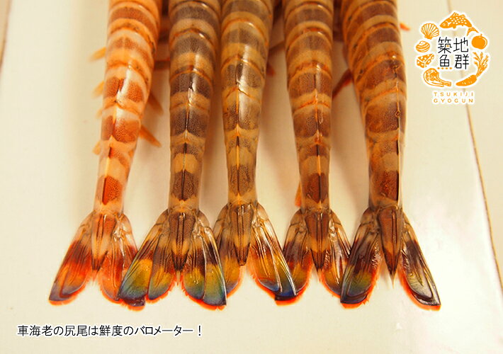 �夬��ֳ�Ϸ500g �� ��¢�ء�[�夬��ֳ�Ϸ,�夬�ꥯ��ޥ���]