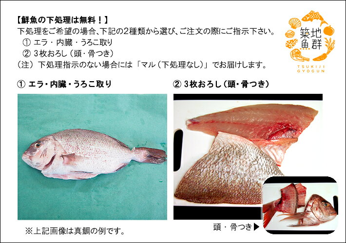 �ܿ�����ѥ�1��(3-3.5Kg���奵����) �� ��¢�ء�[����,�ܿ�����ѥ�]