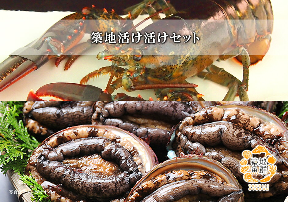 築地魚群の築地活け活けセット 冷蔵便　[オマール海老,アワビ]｜アングル2