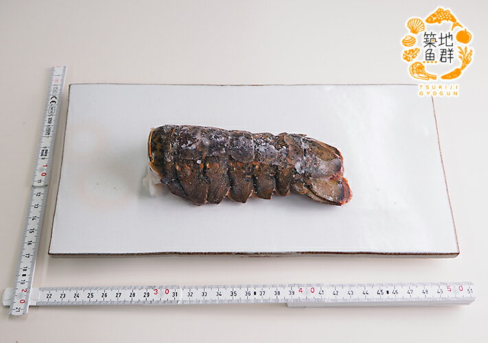 ���ޡ��볤Ϸ�ơ���1�� �����ء�[���ޡ���]