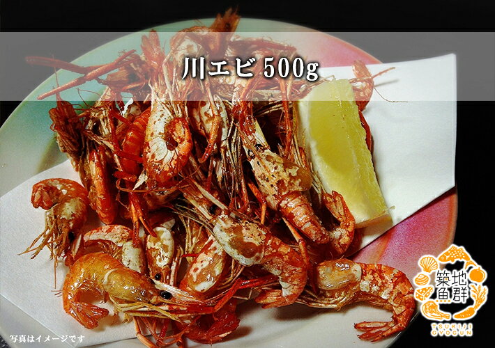 川エビ500g 冷凍便　[川エビ] gyogun-10001648 築地魚群 サンプル画像2