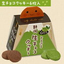 とろける生チョコクッキー6枚入(抹茶、チョコ)【2018 ク...