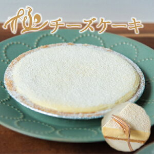 バレンタイン プチギフト 義理チョコ 2021 ギフト プレゼント 誕生日プレゼント『極チーズケーキ』 1ホール濃厚チーズケーキ 贅沢チーズケーキ「バレンタイン プチギフト チョコ以外 お取り寄せ 人気 ギフト スイーツ 2021 誕生日プレゼント」